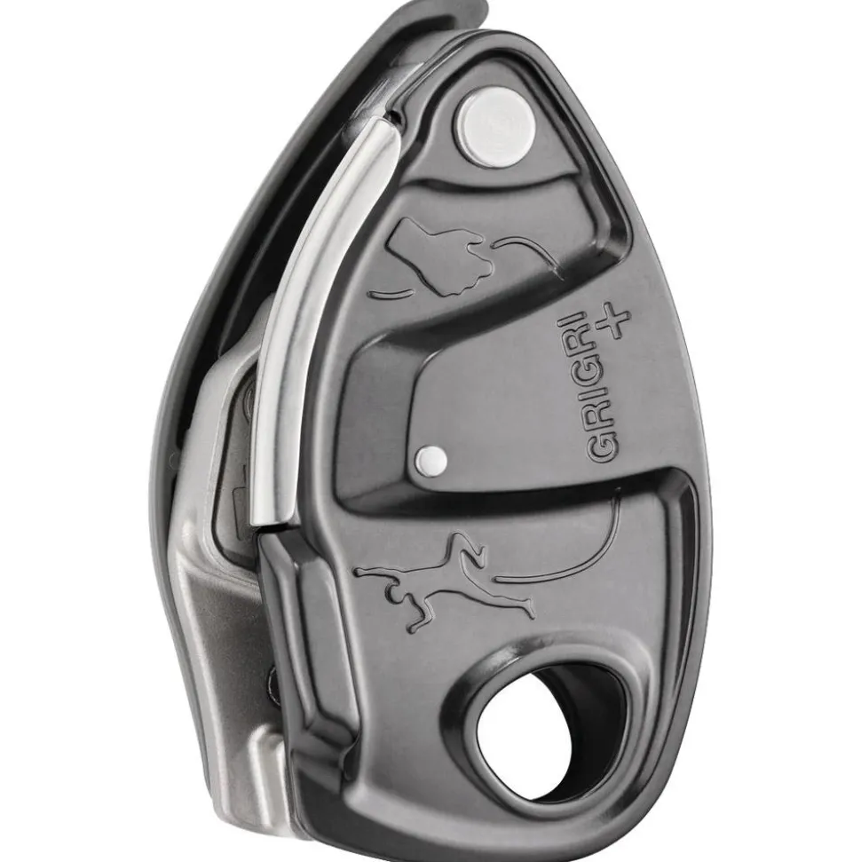 Assureur Petzl Grigri + Gris