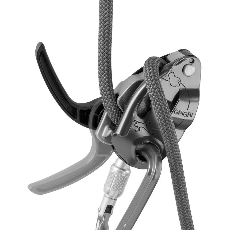 Assureur Petzl Grigri Bleu