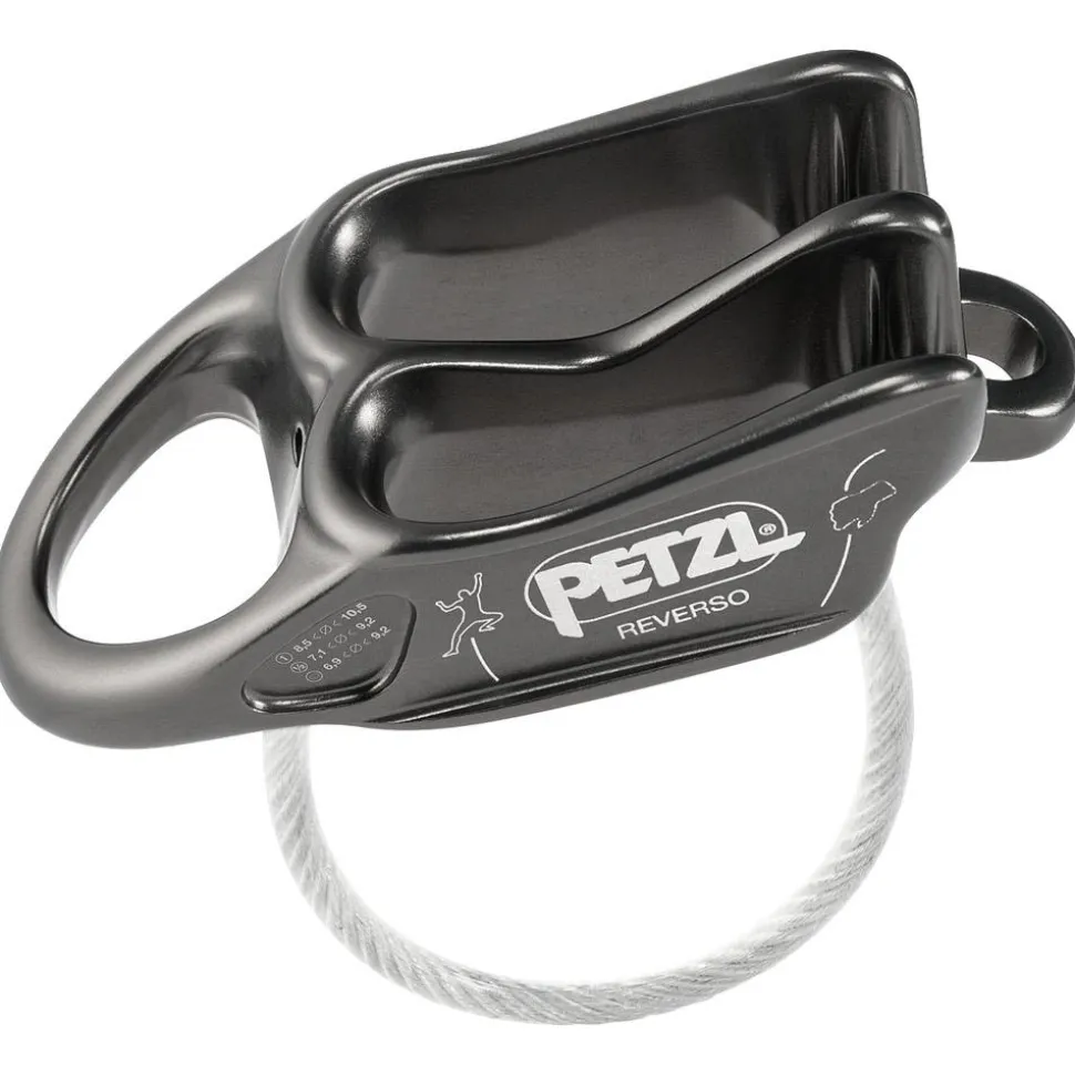 Assureur Petzl Reverso Gris