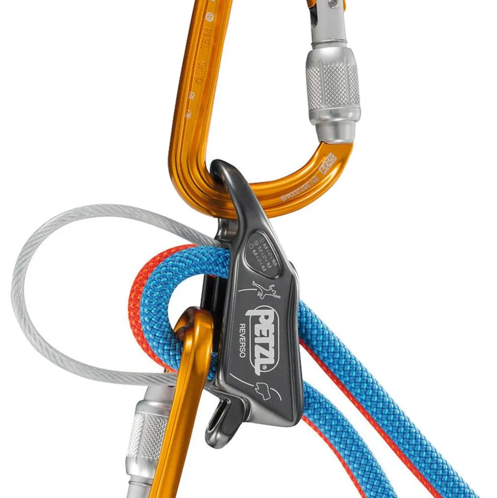 Assureur Petzl Reverso Gris