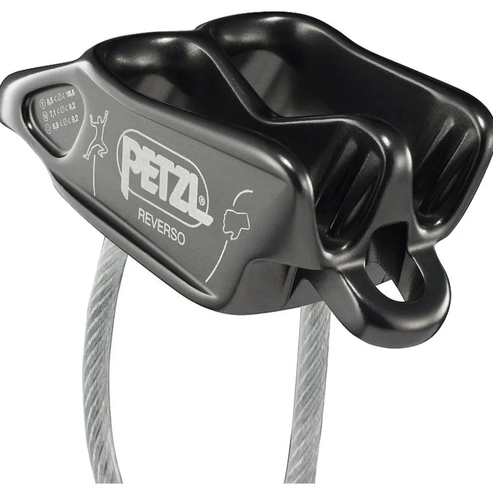 Assureur Petzl Reverso Gris