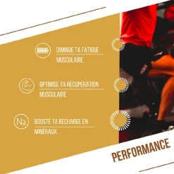 Barre Energétique Baouw Protéinée Bio 50 g. Pomme & Cannelle