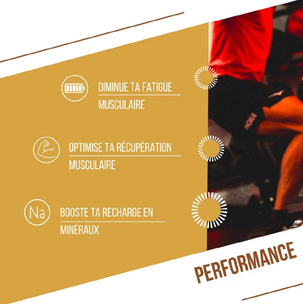 Barre Energétique Baouw Protéinée Bio 50 g. Pomme & Cannelle