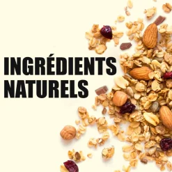 Barre Energétique Overstims Authentic Bar 50 g. Myrtilles Sauvages