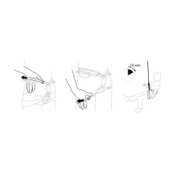 Baudrier Edelrid Jayne Dolphin