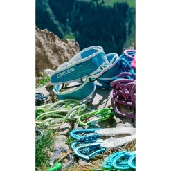 Baudrier Edelrid Prisma Icemint