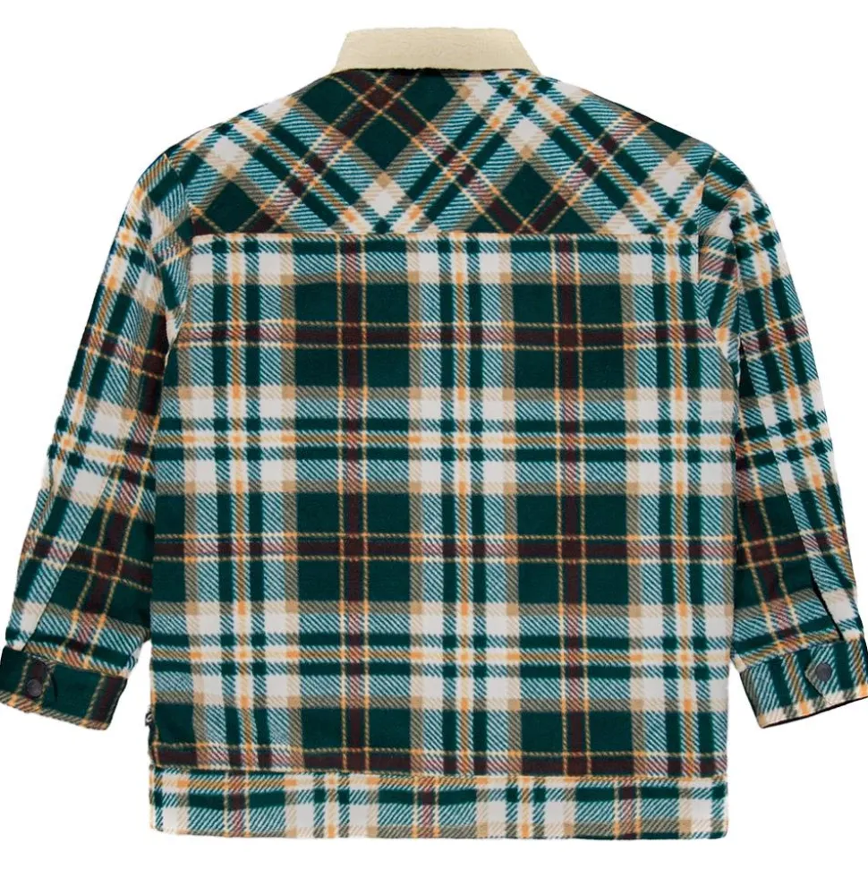 Blouson Street Picture Gaiby Ponderosa Pine Print