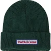 Bonnet Patagonia Kid's Logo Beanie Chill Conifer Green