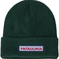 Bonnet Patagonia Kid's Logo Beanie Chill Conifer Green