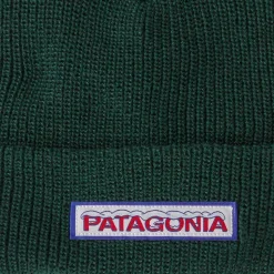 Bonnet Patagonia Kid's Logo Beanie Chill Conifer Green