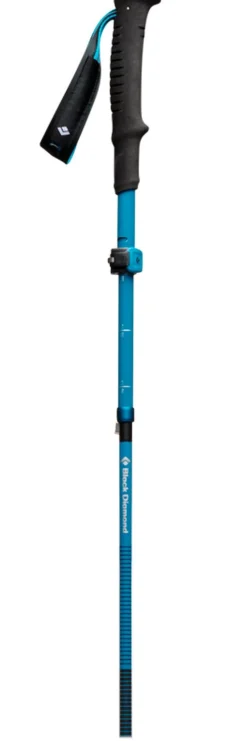 Bâton Black Diamond Distance Carbon Flz Desert Sky