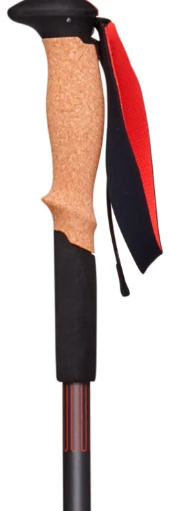 Bâton Black Diamond Pursuit Shock Steel Grey-Octane