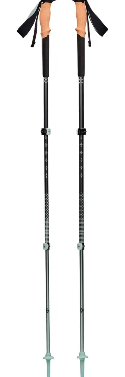 Bâton Black Diamond Pursuit Charcoal-Foam Green