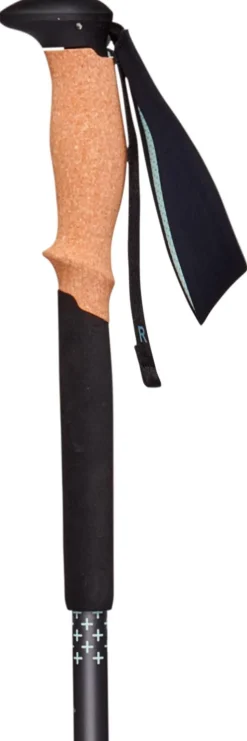 Bâton Black Diamond Pursuit Charcoal-Foam Green