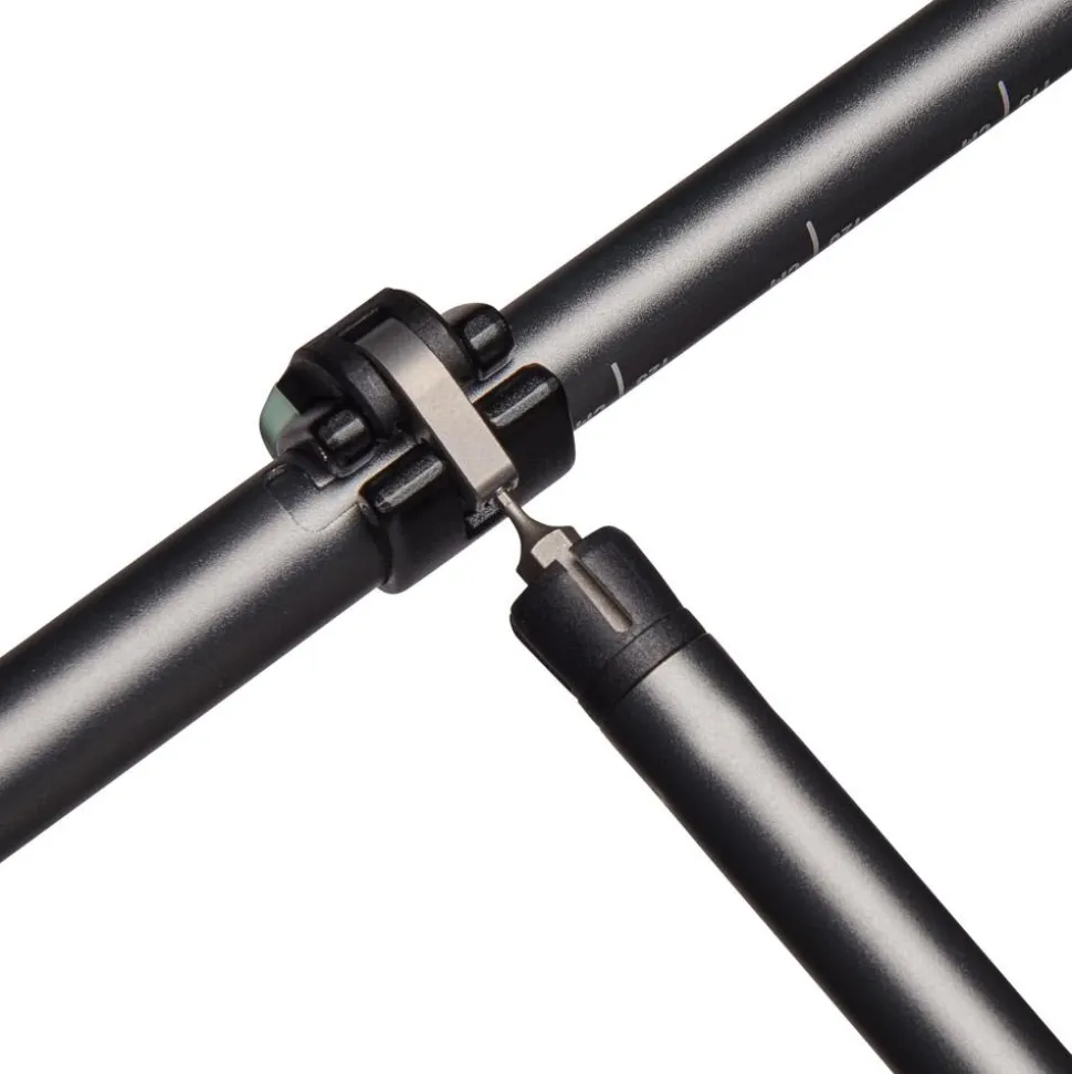 Bâton Black Diamond Pursuit Charcoal-Foam Green