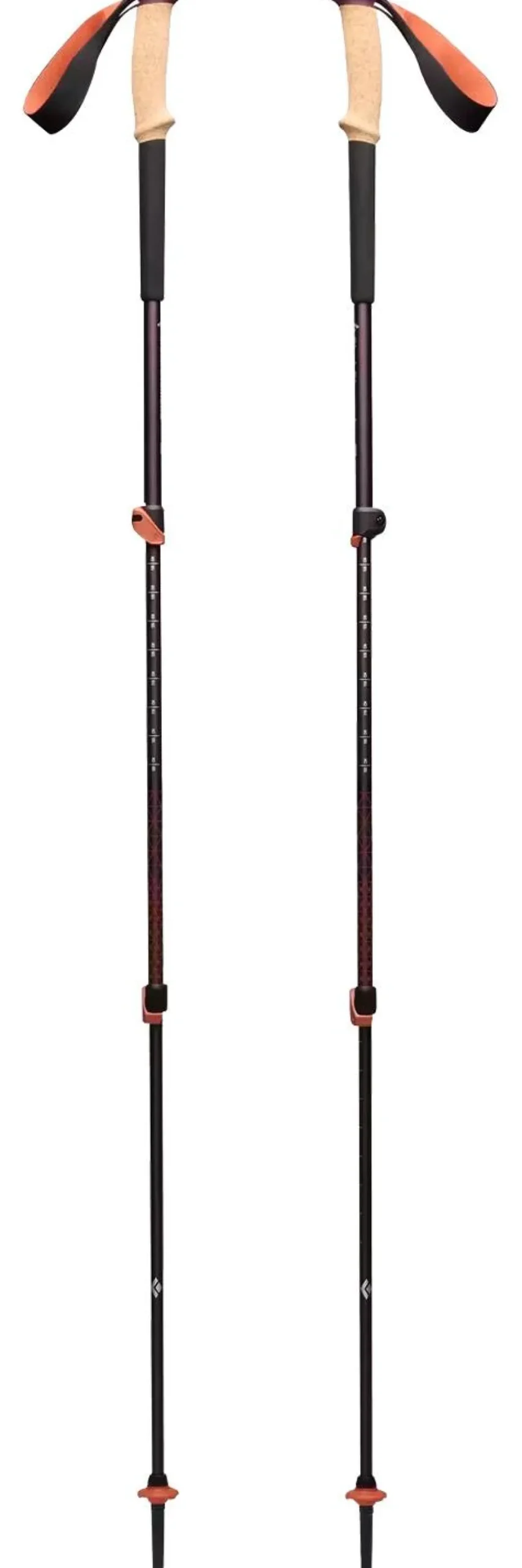 Bâton Black Diamond Trail Cork Trekking 100-140 cm Fig