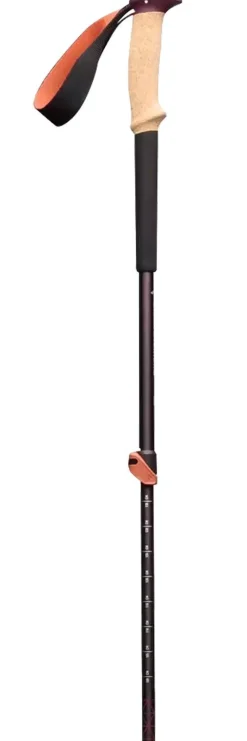 Bâton Black Diamond Trail Cork Trekking 100-140 cm Fig