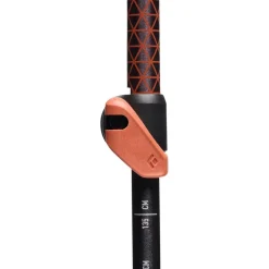 Bâton Black Diamond Trail Cork Trekking 100-140 cm Fig
