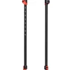 Bâton Black Diamond Trail Sport Octane