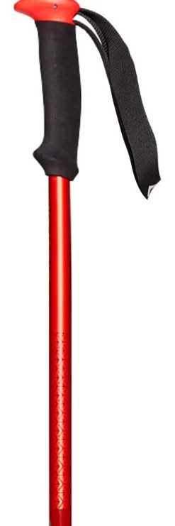 Bâton Black Diamond Trail Sport Octane