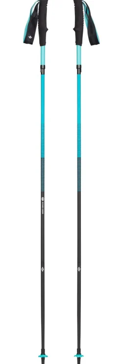 Bâton Black Diamond Women's Distance Carbon Z Dark Patina