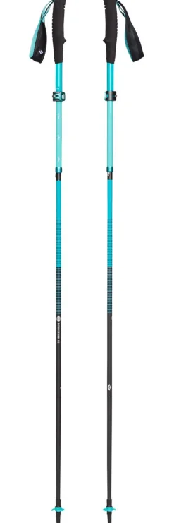 Bâton Black Diamond Women's Distance Carbon Flz Dark Patina