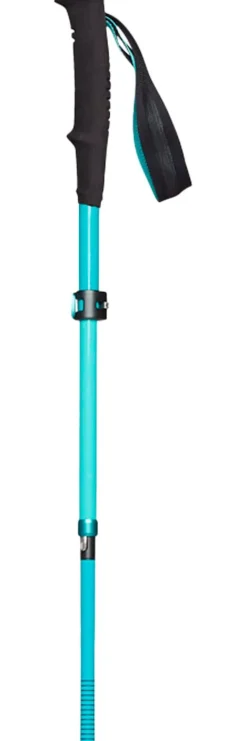 Bâton Black Diamond Women's Distance Carbon Flz Dark Patina