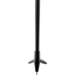 Bâton Fond Swix Focus Composite