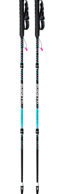 Bâton Guidetti Platinium Aero Carbone Pulse Noir Turquoise