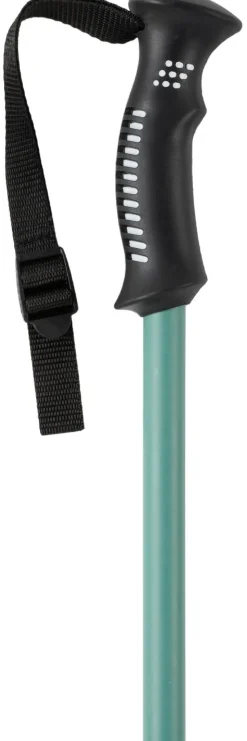 Bâton Lafuma Lautaret Pairs Forest Night