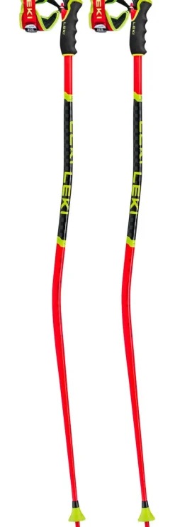 Bâton Leki Wcr Gs 3D