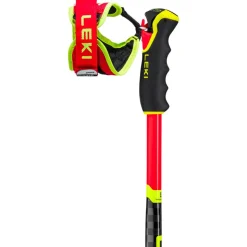 Bâton Leki Wcr Gs 3D