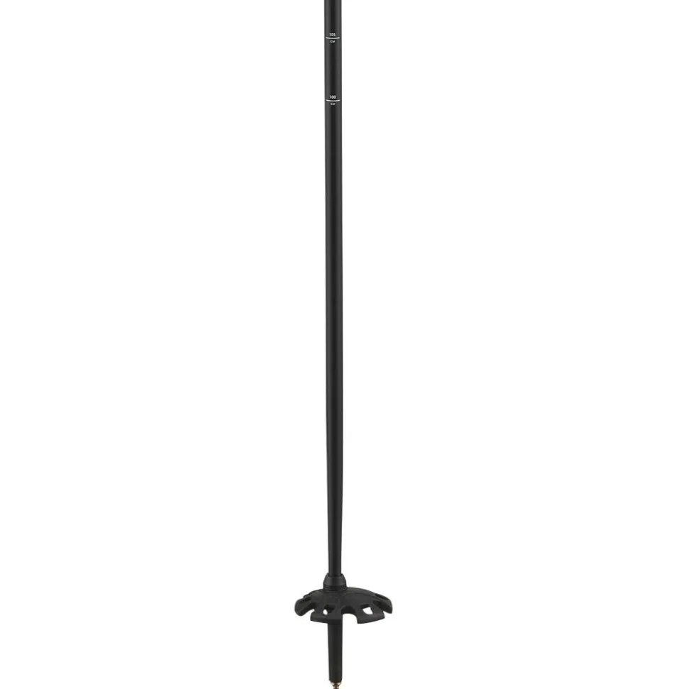 Bâton Salomon Mtn Alu S3 Echo Evening Haze