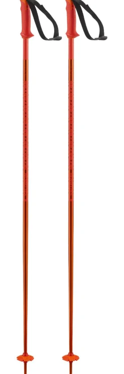 Bâton Salomon Polar Cherry Tomato