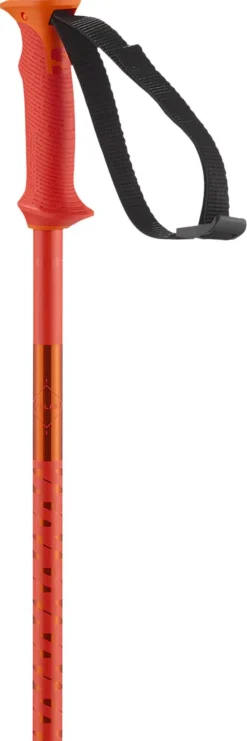 Bâton Salomon Polar Cherry Tomato