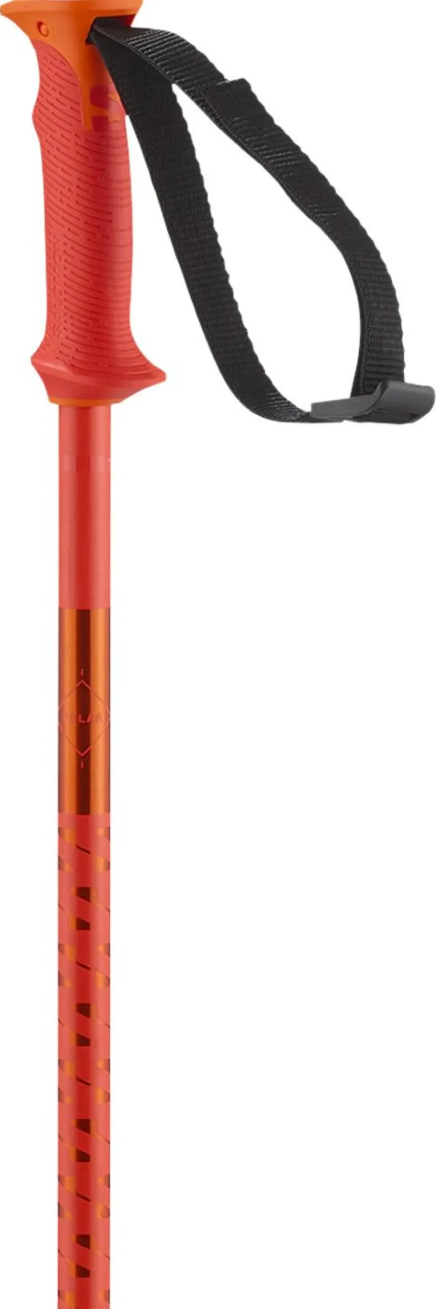 Bâton Salomon Polar Cherry Tomato