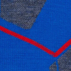 Chaussettes Falke Sk4 Advanced Compression Light Men Olympic