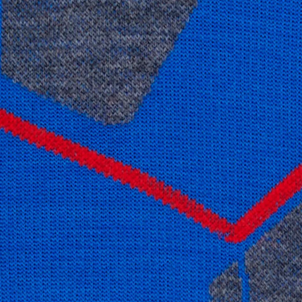 Chaussettes Falke Sk4 Advanced Compression Light Men Olympic