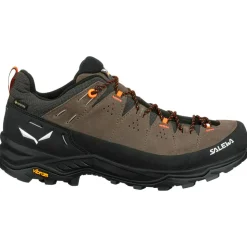Chaussures d'approche Salewa Alp Trainer 2 Gore-Tex Bungee Cord Black