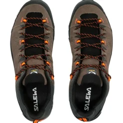 Chaussures d'approche Salewa Alp Trainer 2 Gore-Tex Bungee Cord Black