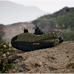 Chaussures de Fast Hiking adidas Terrex Free Hiker 2 Low Gore-Tex Cblack Carbon Olistr