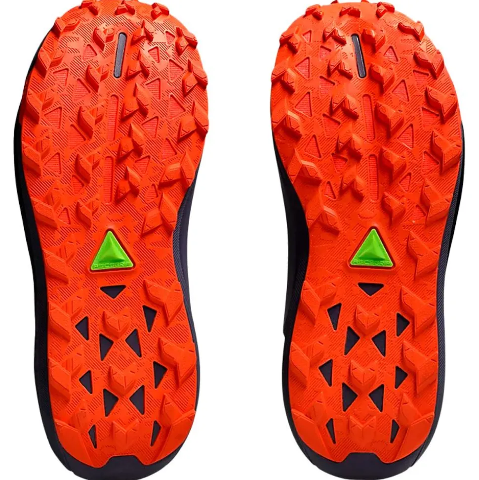 Chaussures de trail Asics Gel-Trabuco 13 Gore-Tex Wmn Black Light Ube