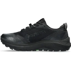 Chaussures de trail Asics Gel-Trabuco 12 Gore-Tex Wmn Black Graphite Grey
