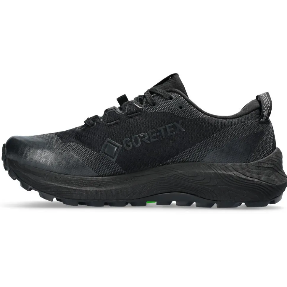Chaussures de trail Asics Gel-Trabuco 12 Gore-Tex Wmn Black Graphite Grey
