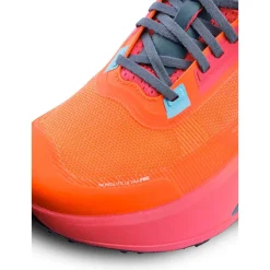 Chaussures de trail Craft Nordlite Ultra Pro M Flourange Flourange Cosmo