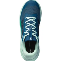 Chaussures de trail Salomon Alphaglide Poseidon Bay Parakeet