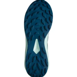 Chaussures de trail Salomon Alphaglide Poseidon Bay Parakeet