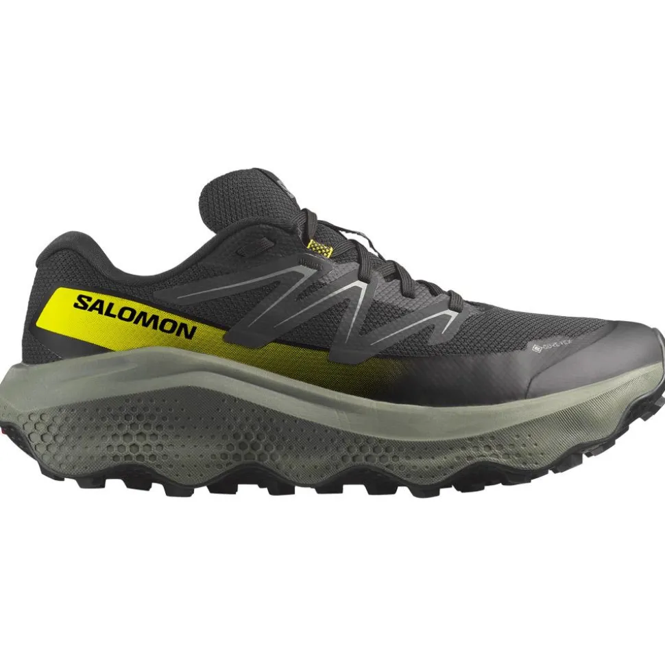 Chaussures de trail Salomon Ultra Flow 2 Gore-Tex Black Sedona Sage Incaberry