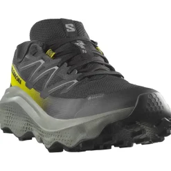Chaussures de trail Salomon Ultra Flow 2 Gore-Tex Black Sedona Sage Incaberry