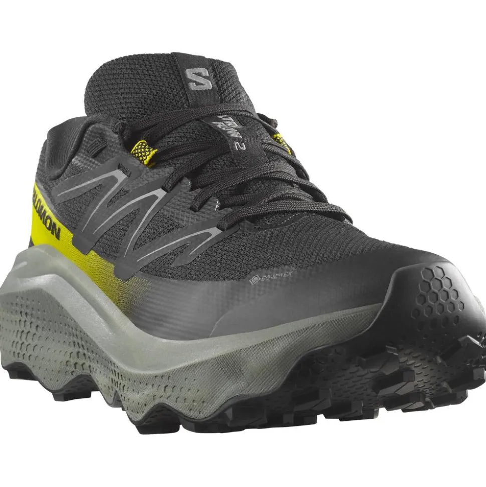 Chaussures de trail Salomon Ultra Flow 2 Gore-Tex Black Sedona Sage Incaberry